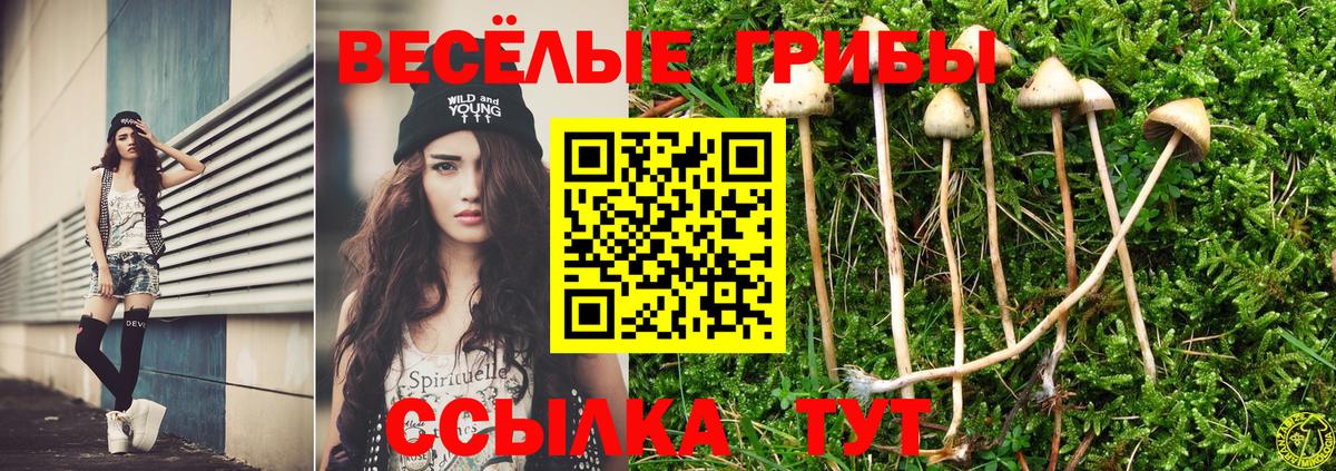 хочу наркоту  Вход с VPN  Галлюциногенные грибы Psilocybine cubensis  Бузулук  Псилоцибиновые грибы MAGIC MUSHROOMS 