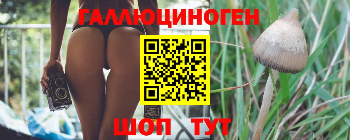 Псилоцибиновые грибы Magic Shrooms Бузулук