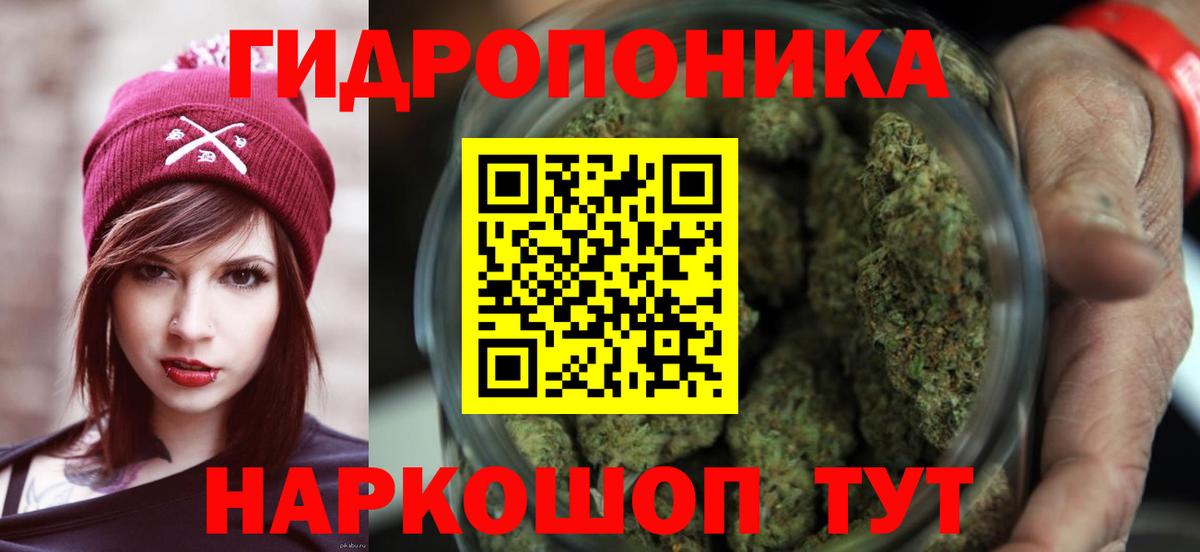 Каннабис план Бузулук